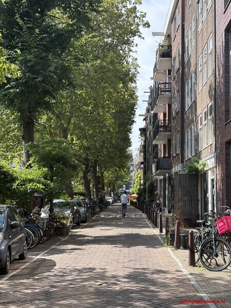 Volg de fietser