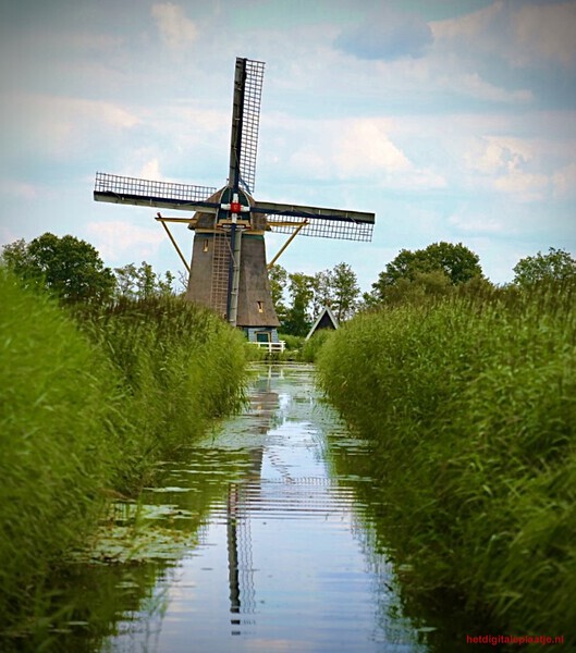 “Molen van de polder”