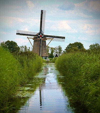 “Molen van de polder”