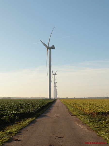 Hollandse molens