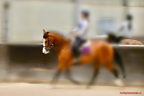 Horse riding girl - blur the action