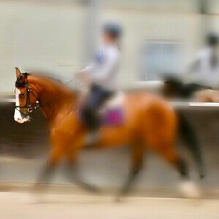 Horse riding girl - blur the action