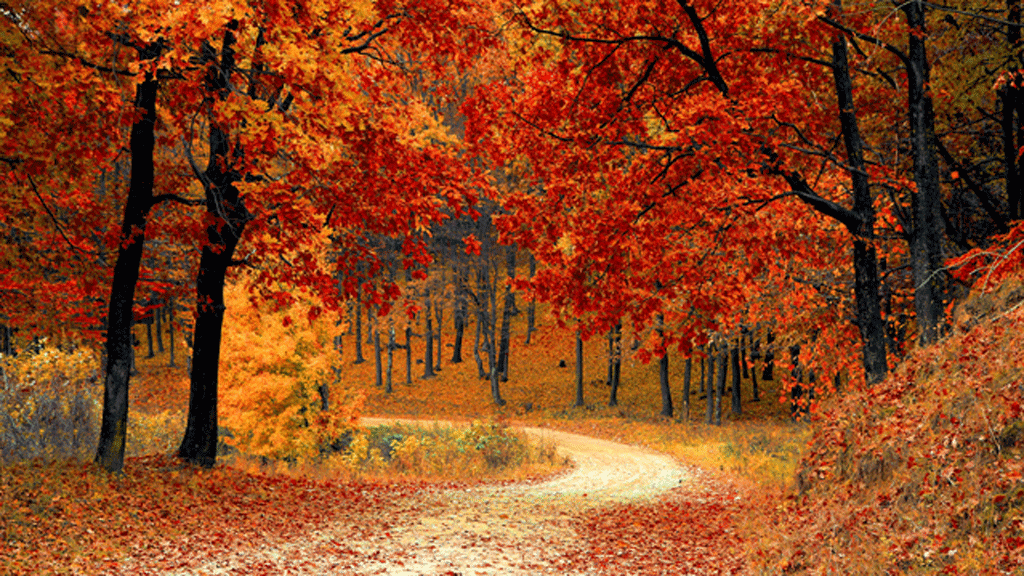Herfst